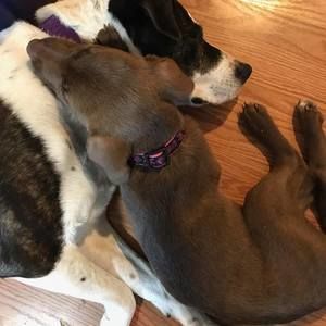 Meet your Posher, Kel